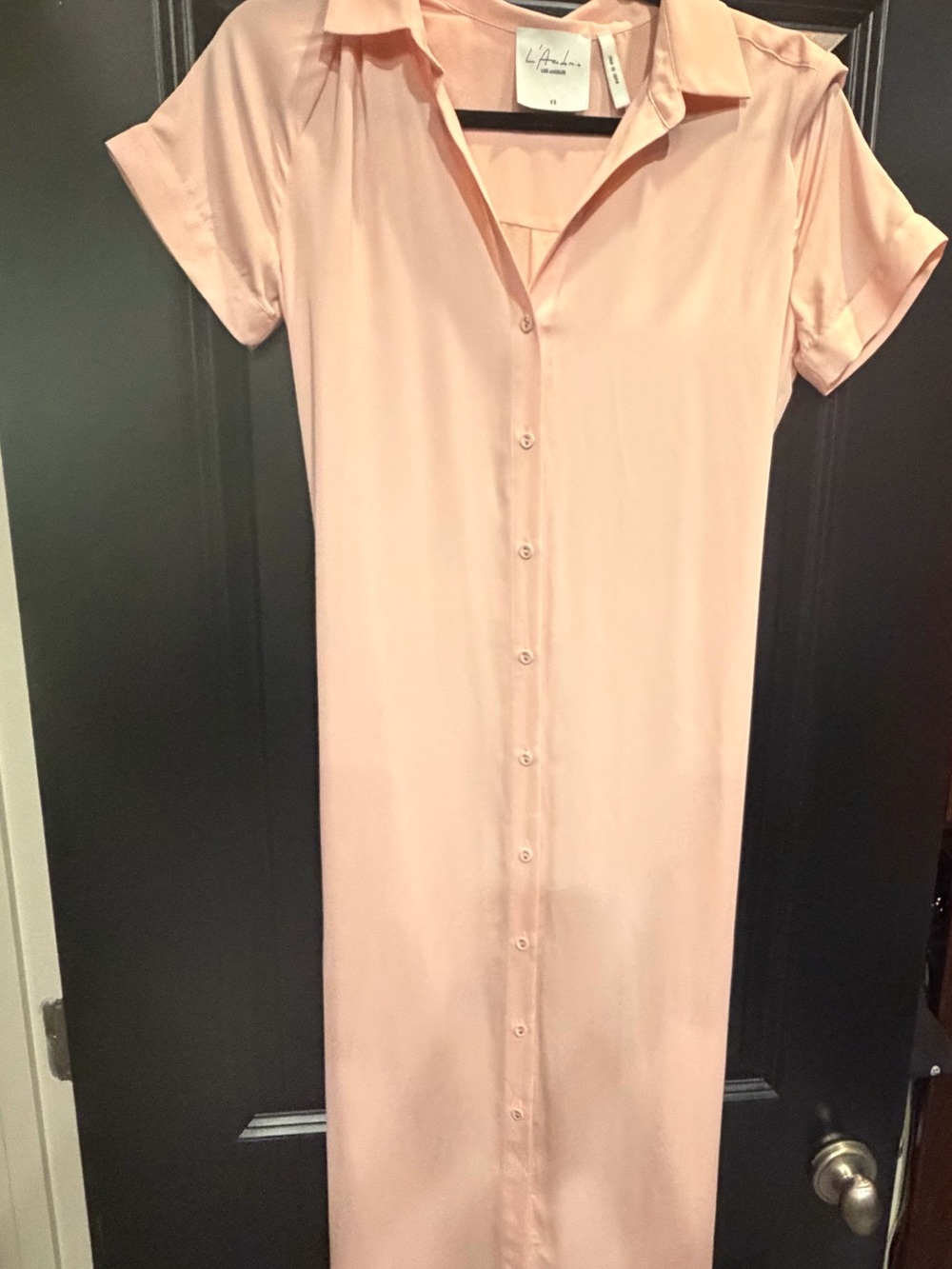 L'Academie Blush Pink Button-Front Shirt Dress